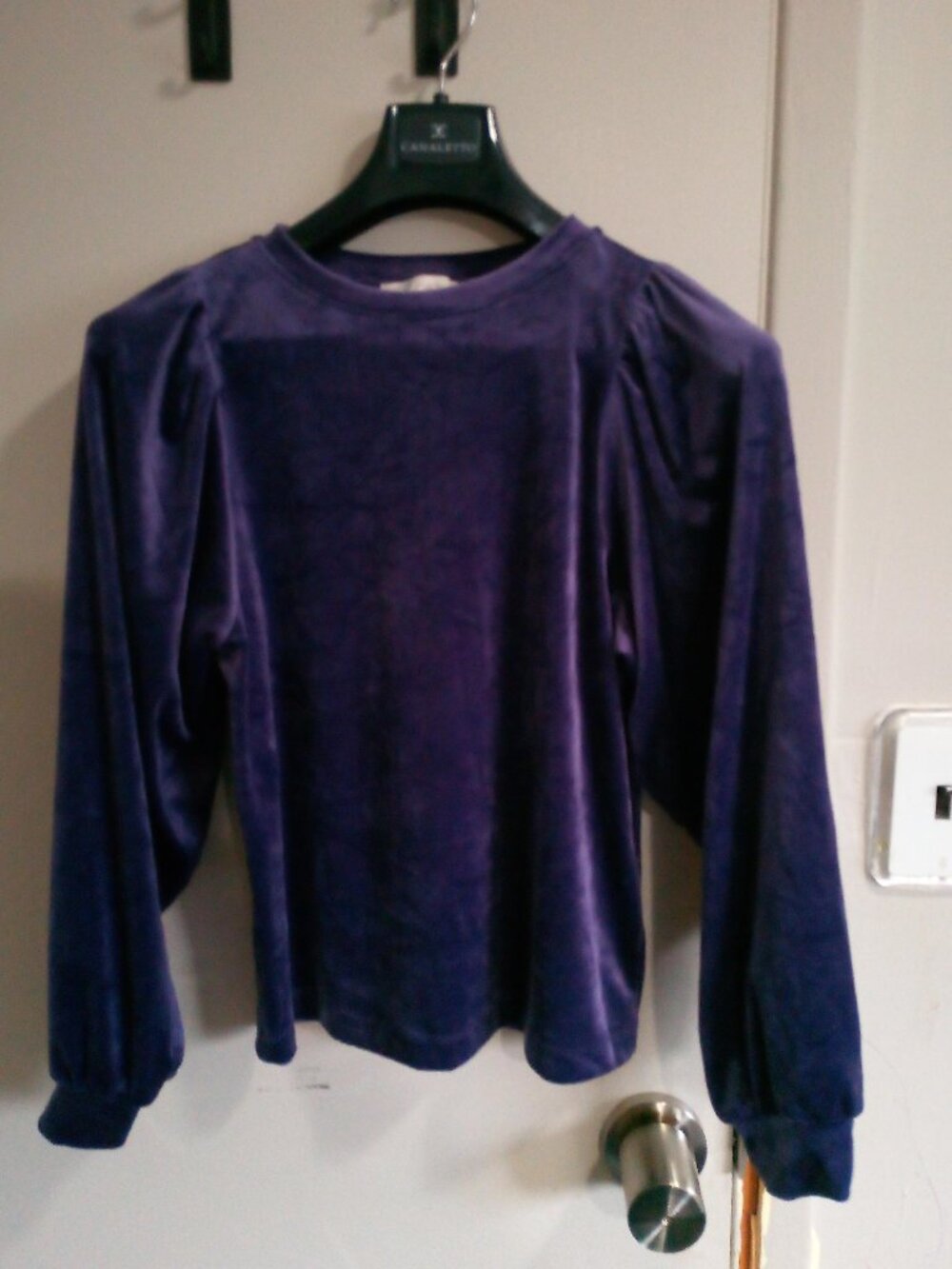Purple Velour Top